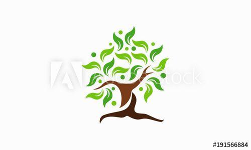 Beautiful Tree Logo - Abstract Tree logo designs vector, Beautiful tree logo template