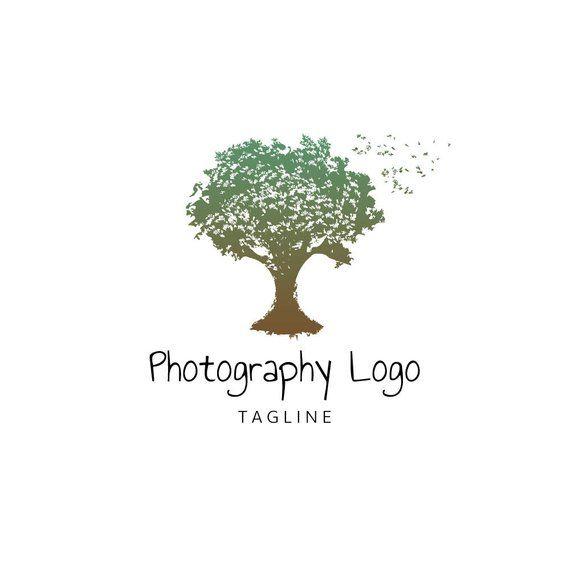 Companies with Oak Tree Logo - Tree Logo Photography Logo Photographer Logo Oak Tree