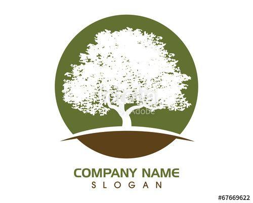 Companies with Oak Tree Logo - Oak Tree Logo 2 Stock Image And Royalty Free Vector Files