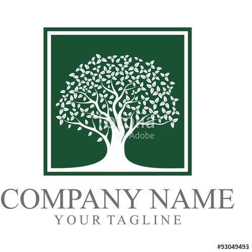 Companies with Oak Tree Logo - Square Green Oak Tree Logo. Oak tree logo illustration. Vector ...