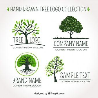 Companies with Oak Tree Logo - Tree Logo Vectors, Photos and PSD files | Free Download