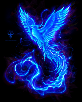 Phoenix Blue Logo - Blue Phoenix logo by amorphisss on DeviantArt