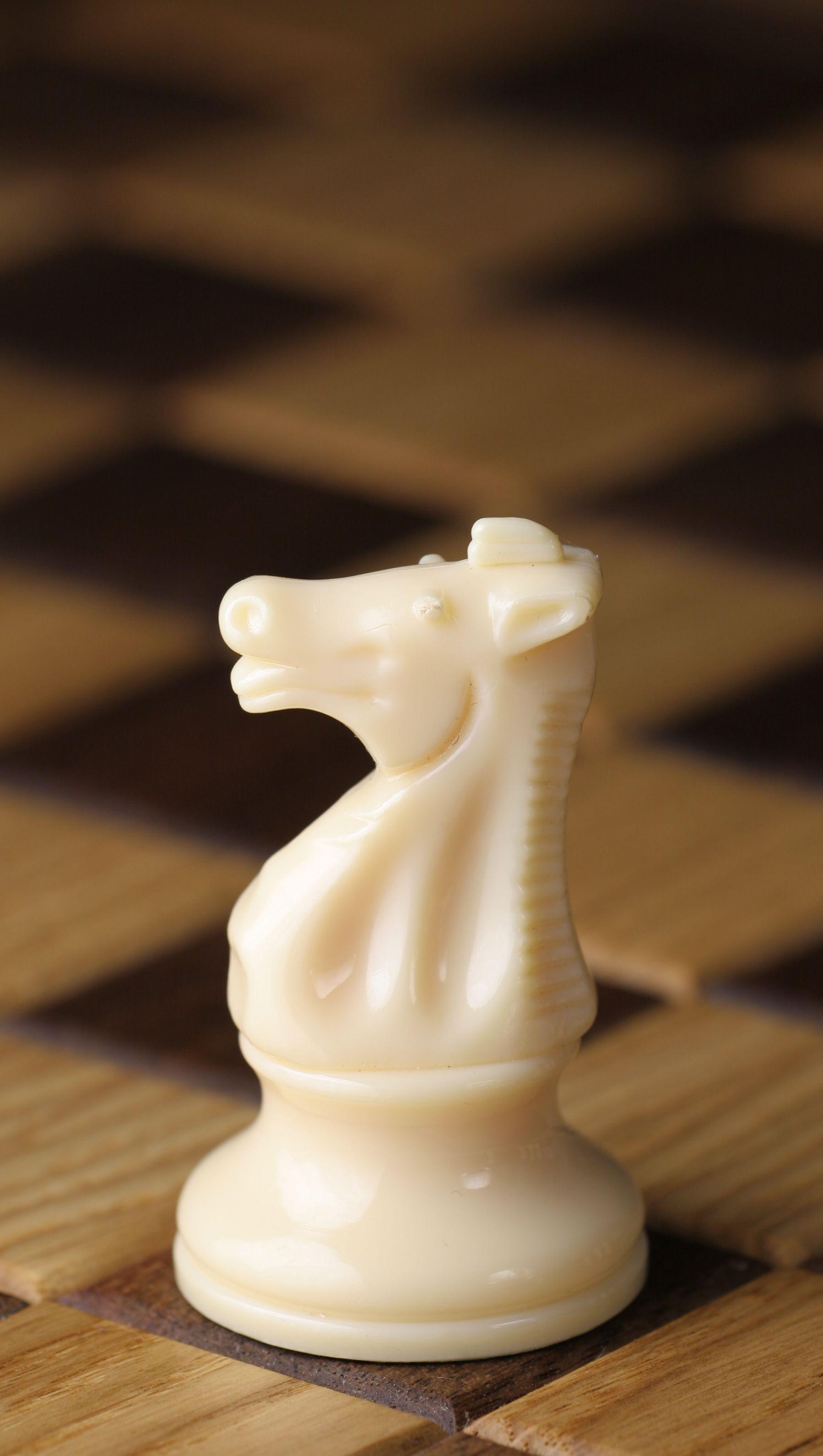 Chess Horse Logo - Knight (chess)