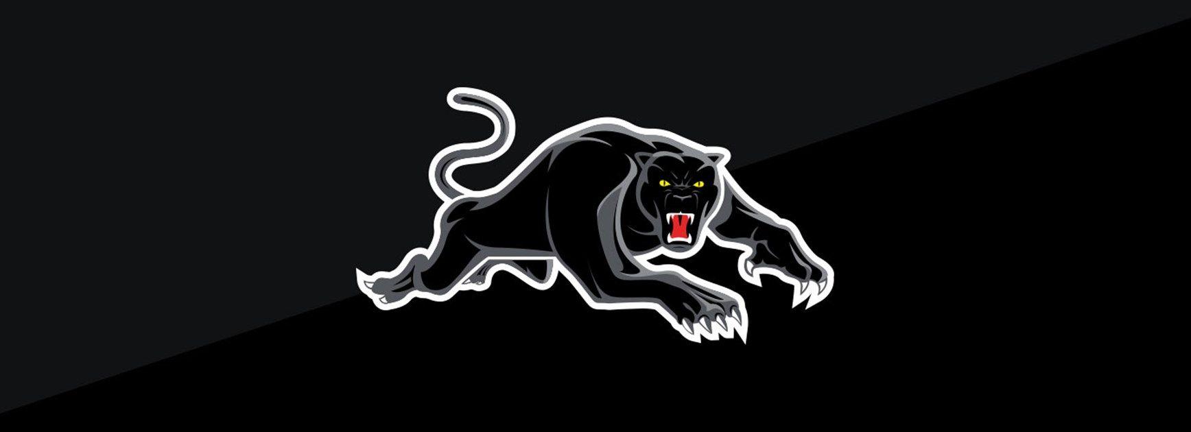 Pathers Logo - Panthers reveals renewed logos for 2019 - Panthers