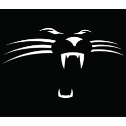 Panthers Logo - Carolina Panthers Alternate Logo | Sports Logo History
