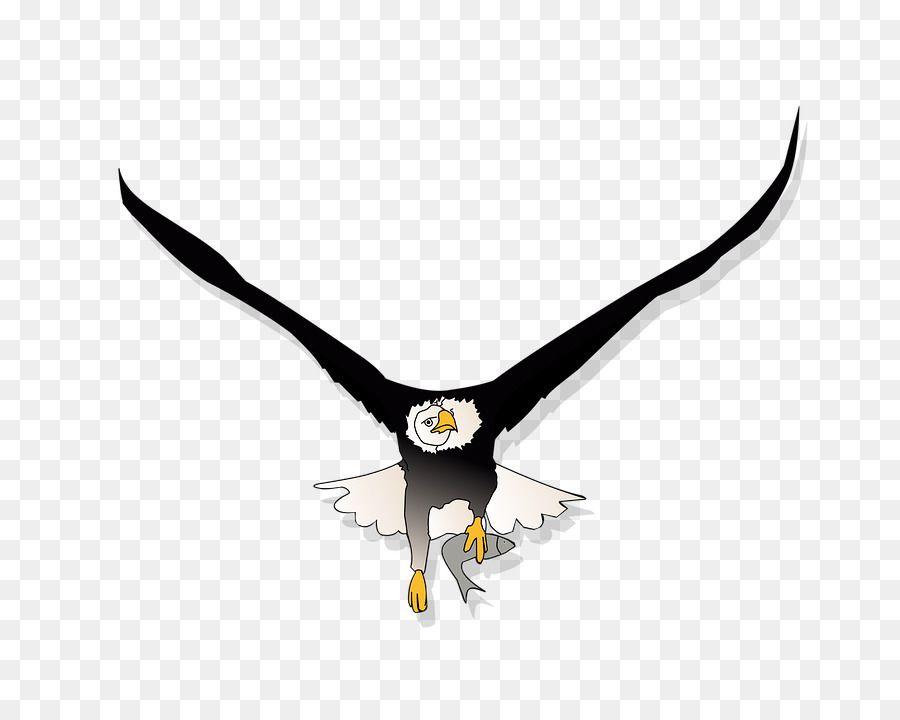 Hunting Eagle Logo - Bald eagle Image Clip art Eye Vector graphics - Flying eagle png ...