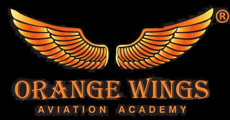 Orange Wing Logo - Orange Wings Aviation