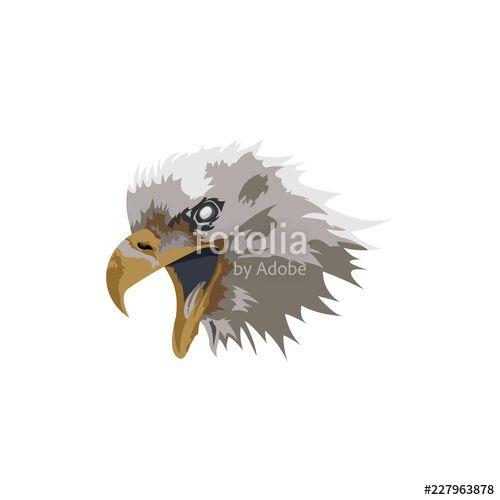 Hunting Eagle Logo - angry beast eagle face while hunting its prey vector logo design ...