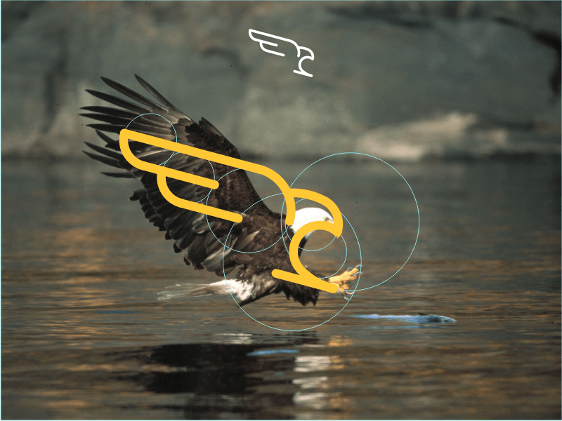 Hunting Eagle Logo - Falcon | Bird | Pinterest | Logo design, Logos and Design