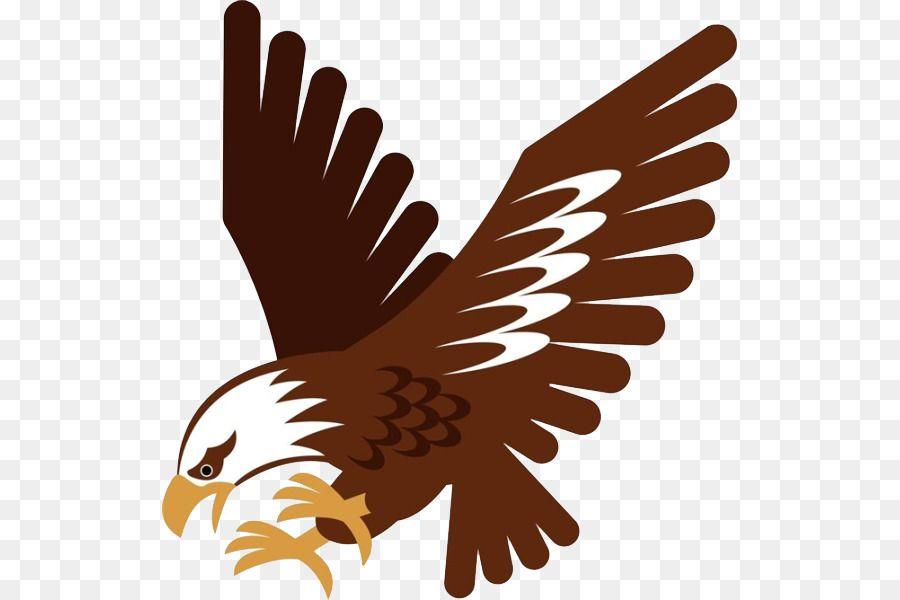 Hunting Eagle Logo - Royalty-free Stock photography Hawk Illustration - Hunting Eagle png ...