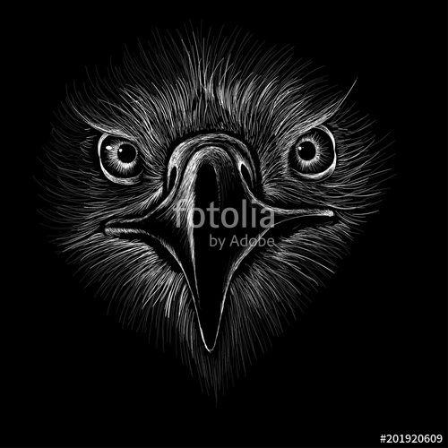 Hunting Eagle Logo - The Vector logo eagle for T-shirt design or outwear. Hunting style ...