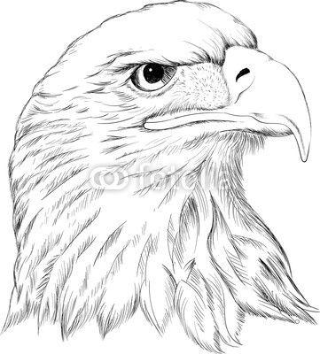 Hunting Eagle Logo - The Vector logo eagle for T-shirt design or outwear. Hunting style ...