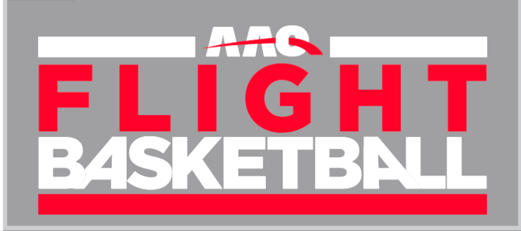 Youth Travel Basketball Logo - AAO FLIGHT BASKETBALL TEAMS