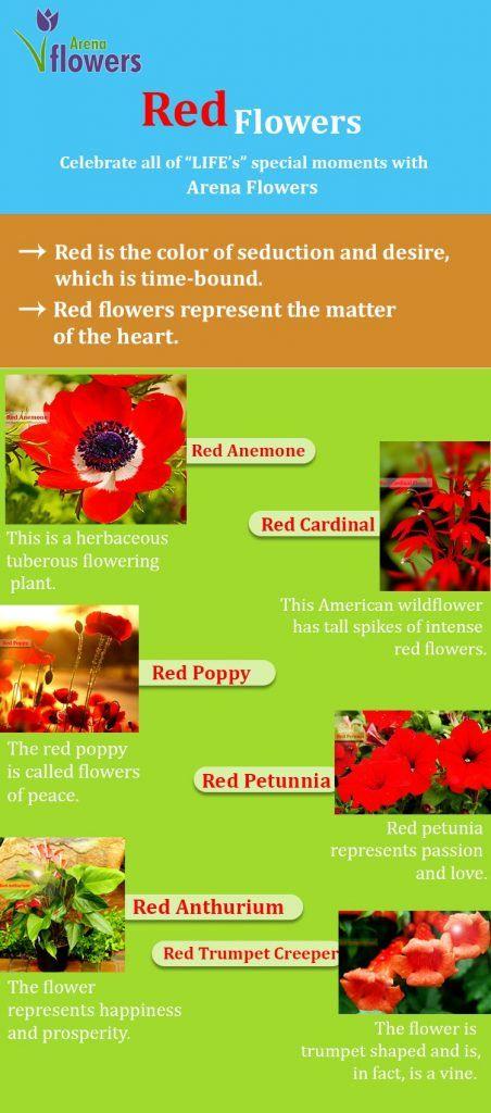 Red Flower Petal Yellow Center Green One Logo - Types of Red Flowers