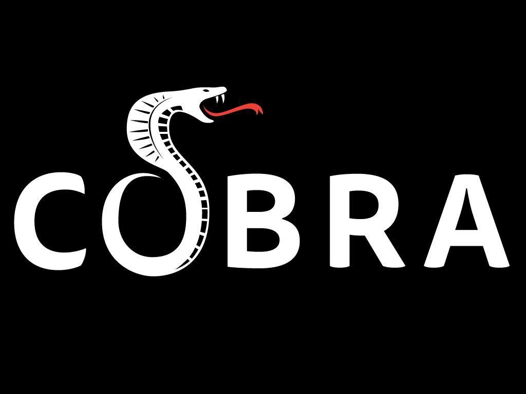 Cobra Gaming Logo - Cobra Gaming. Portfolio. Web design