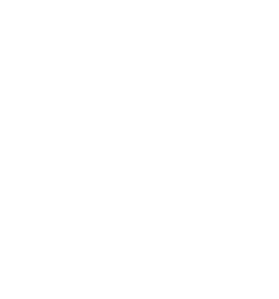 Nacas CX3 Logo - C3X - NACAS