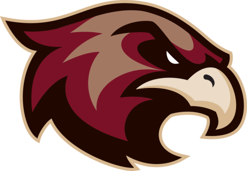 Cool Hawk Logo - Sports logos. Logos, Logo design, Hawk logo