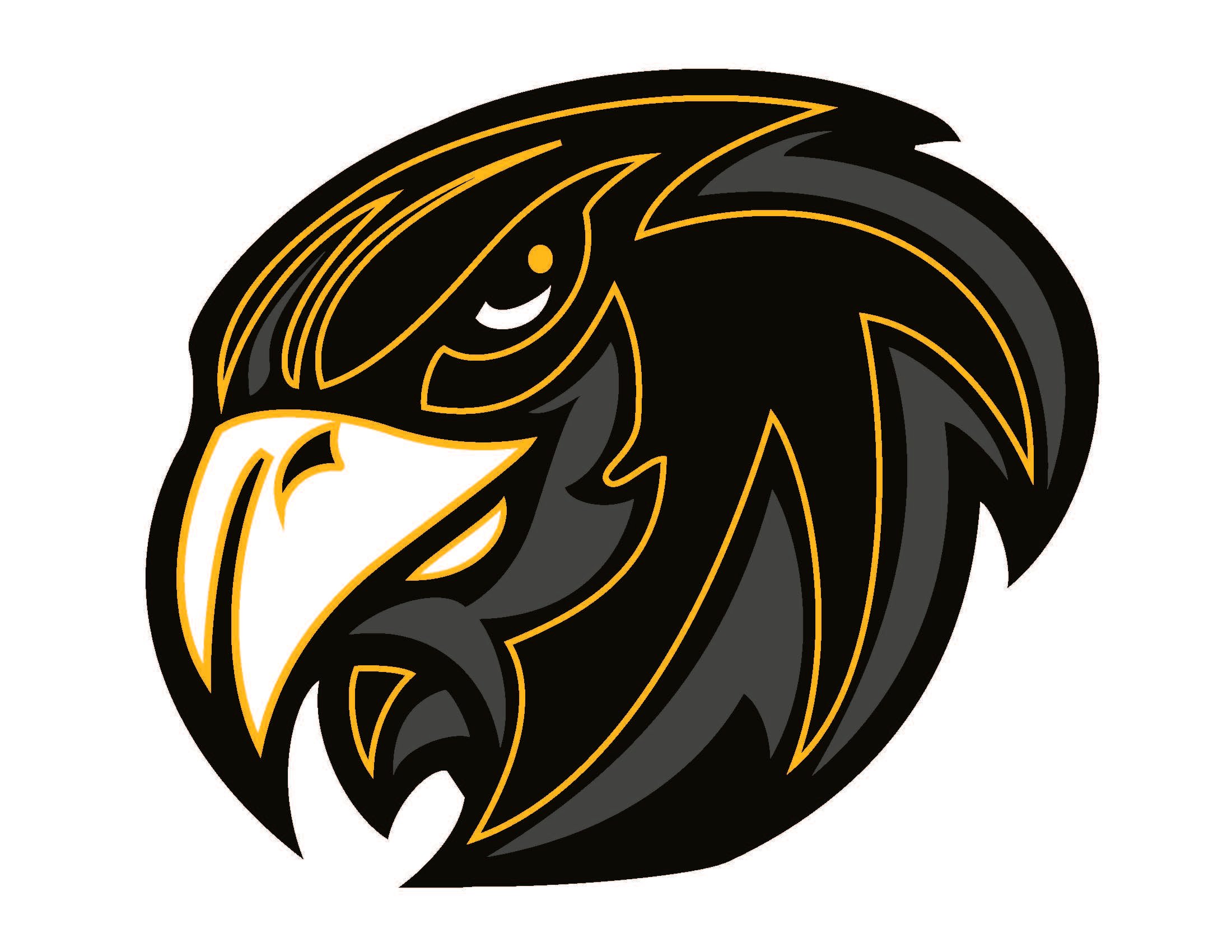 Hawk Head Logo - Hawk Logos