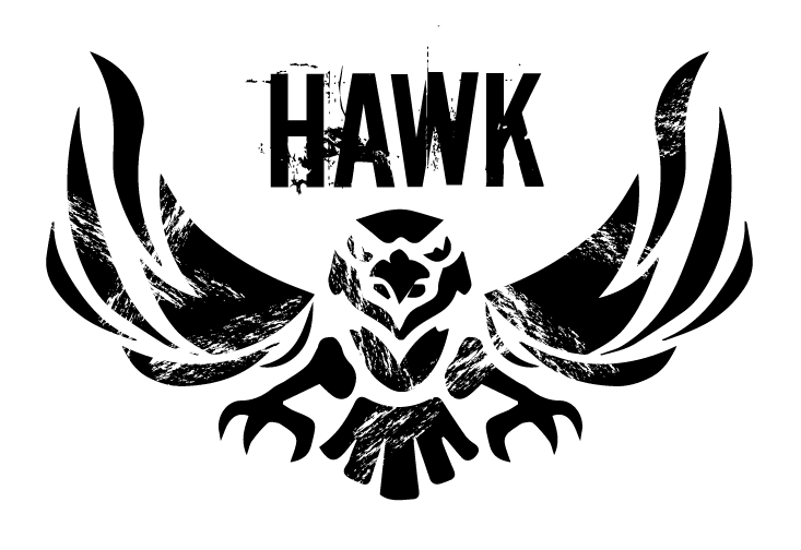 Cool Hawk Logo - hawk logo design military shirt design ocean graphic design ideas