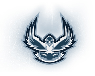 Cool Hawk Logo - Logopond - Logo, Brand & Identity Inspiration