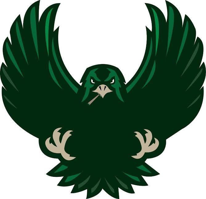 Cool Hawk Logo - Hawk Logo Falcons Logos. Hawk