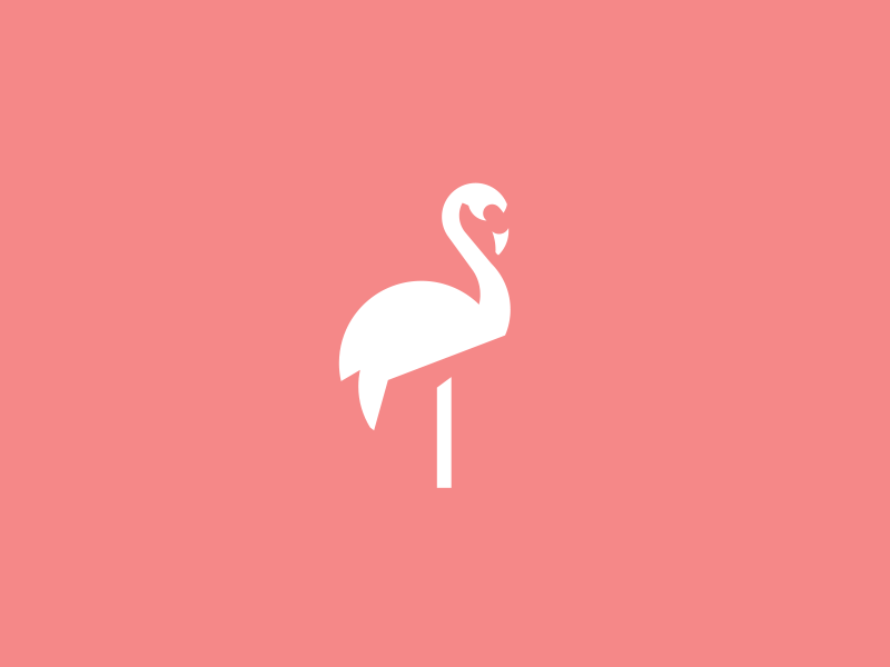 Flamingo Logo - Flamingo logo by Damian Patkowski | Dribbble | Dribbble