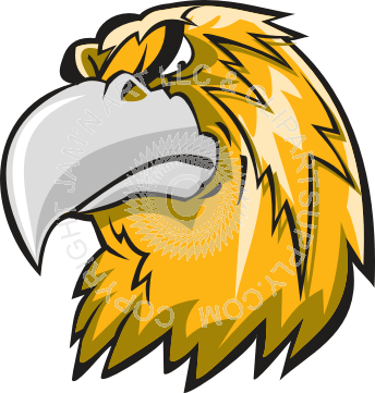 Cool Hawk Logo - Cool hawk head