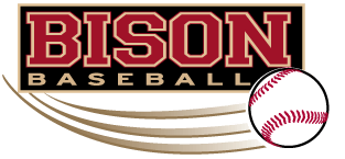 Bison Baseball Logo - Bison Baseball Teams