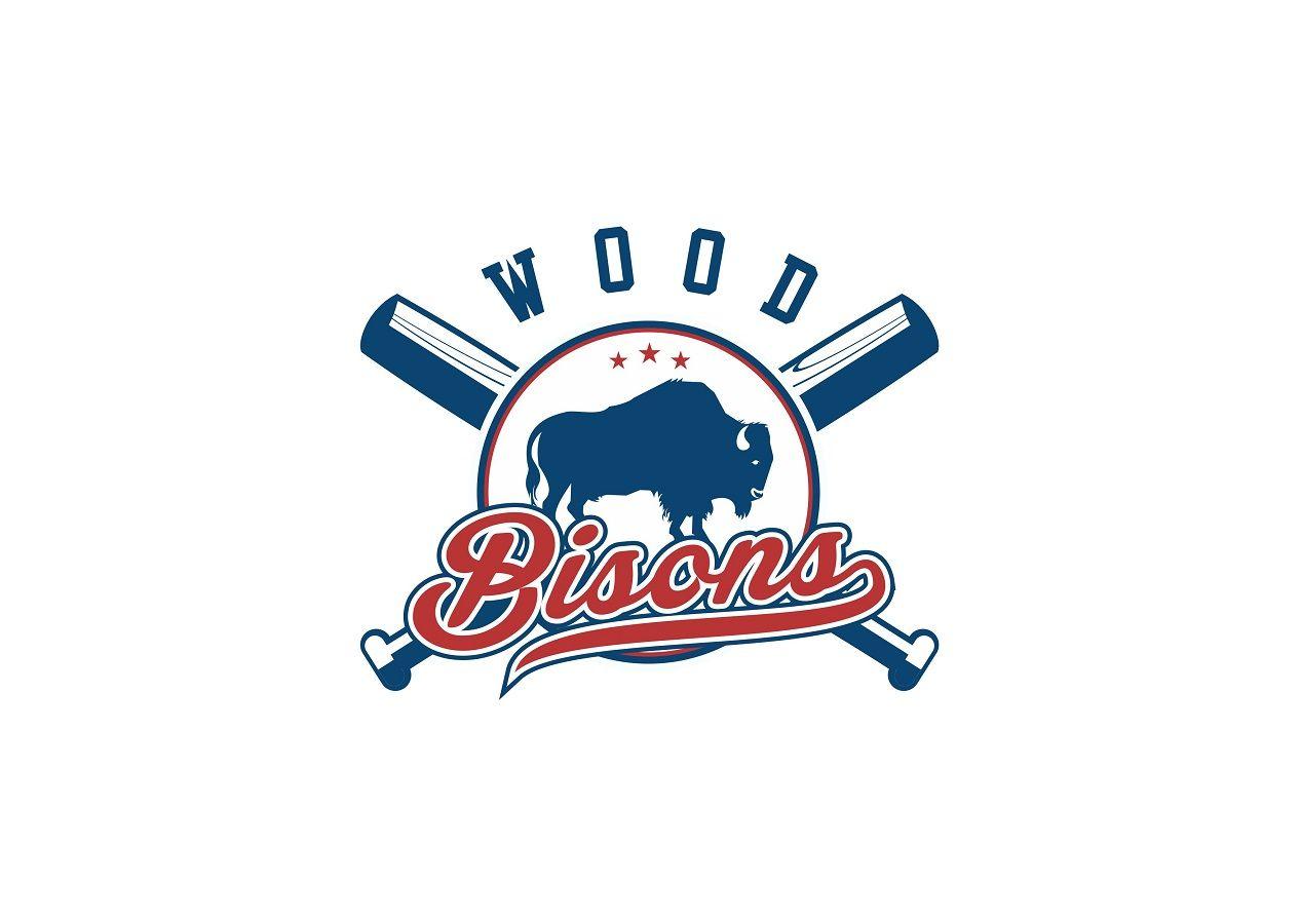 Bison Baseball Logo - Bold, Masculine Logo Design for a Company by roman.free. Design