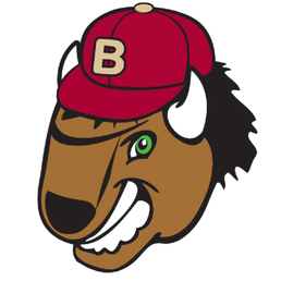 Bison Baseball Logo - Bison Baseball Teams - 12 Photos - Sports Clubs - 397 Pierce St ...