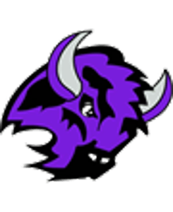 Bison Baseball Logo - Buffalo Baseball Association
