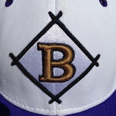 Bison Baseball Logo - DBOB Bison Baseball