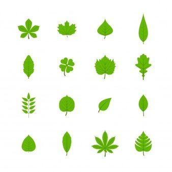 3 Multicolor Leaf Logo - Leaf Vectors, Photos and PSD files | Free Download