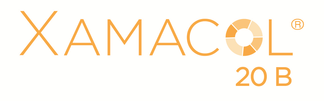 Yellow and Orange B Logo - XAMACOL®