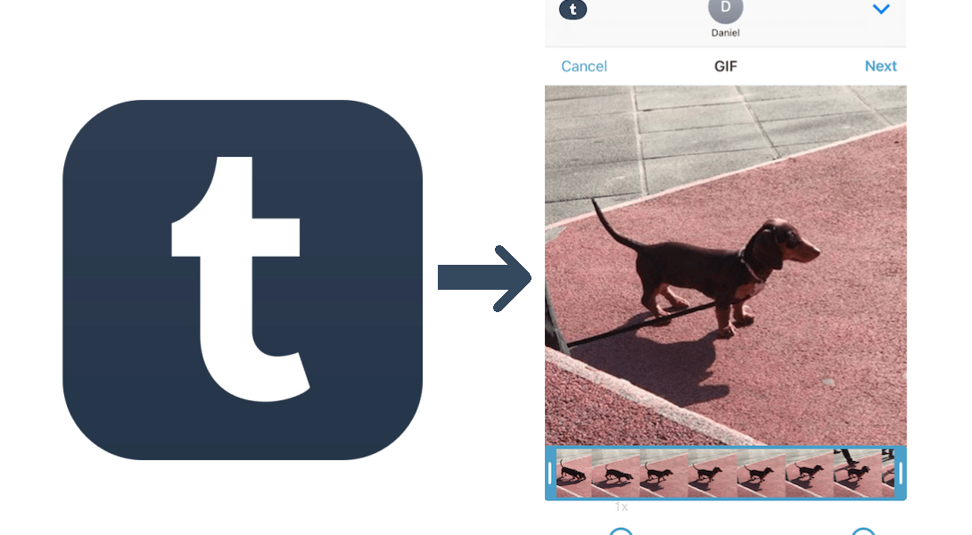 Tumblr App Logo - How to quickly create fun GIFs in iMessage using the Tumblr app