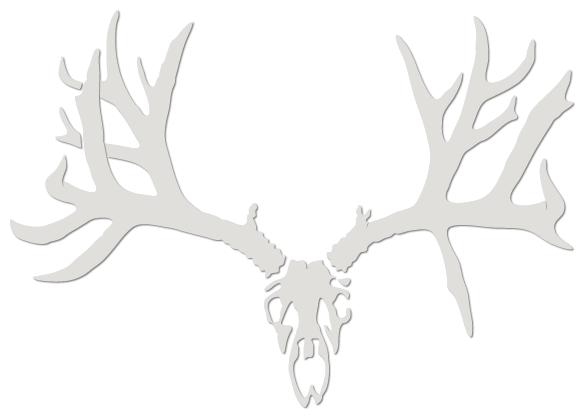 Under Armour Hunting Logo - Home - Whitaker Brothers Hunting Company