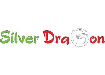 Silver Dragon Logo - Silver Dragon handlowe Ursynów