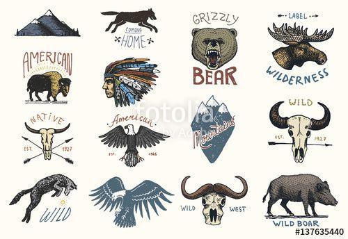 Native Wolf Logo - set of engraved vintage, hand drawn, old, labels or badges for ...