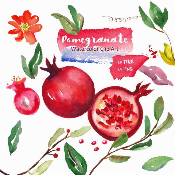 Pomegranate Flower Logo - Watercolor clipart red fruits. Digital clipart hand drawn. | Etsy
