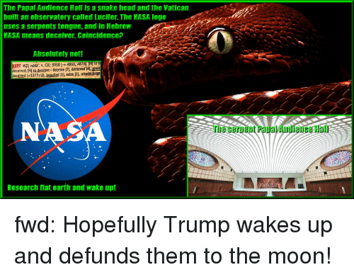 NASA Serpent Logo - The Papal Audience Hall Is a Snake Head and the Vatican Built an
