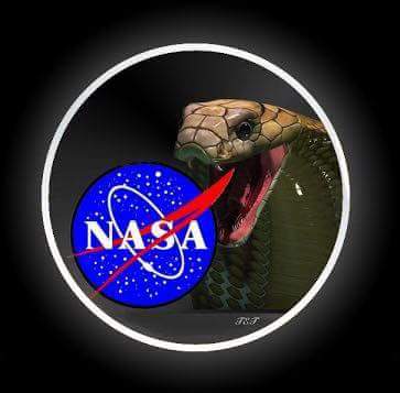 NASA Serpent Logo - La NASA