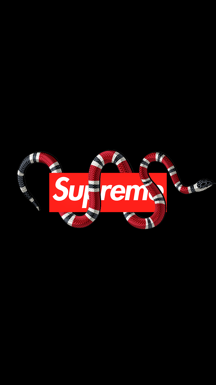Supreme Snake Logo - Supreme And Gucci Wallpaper