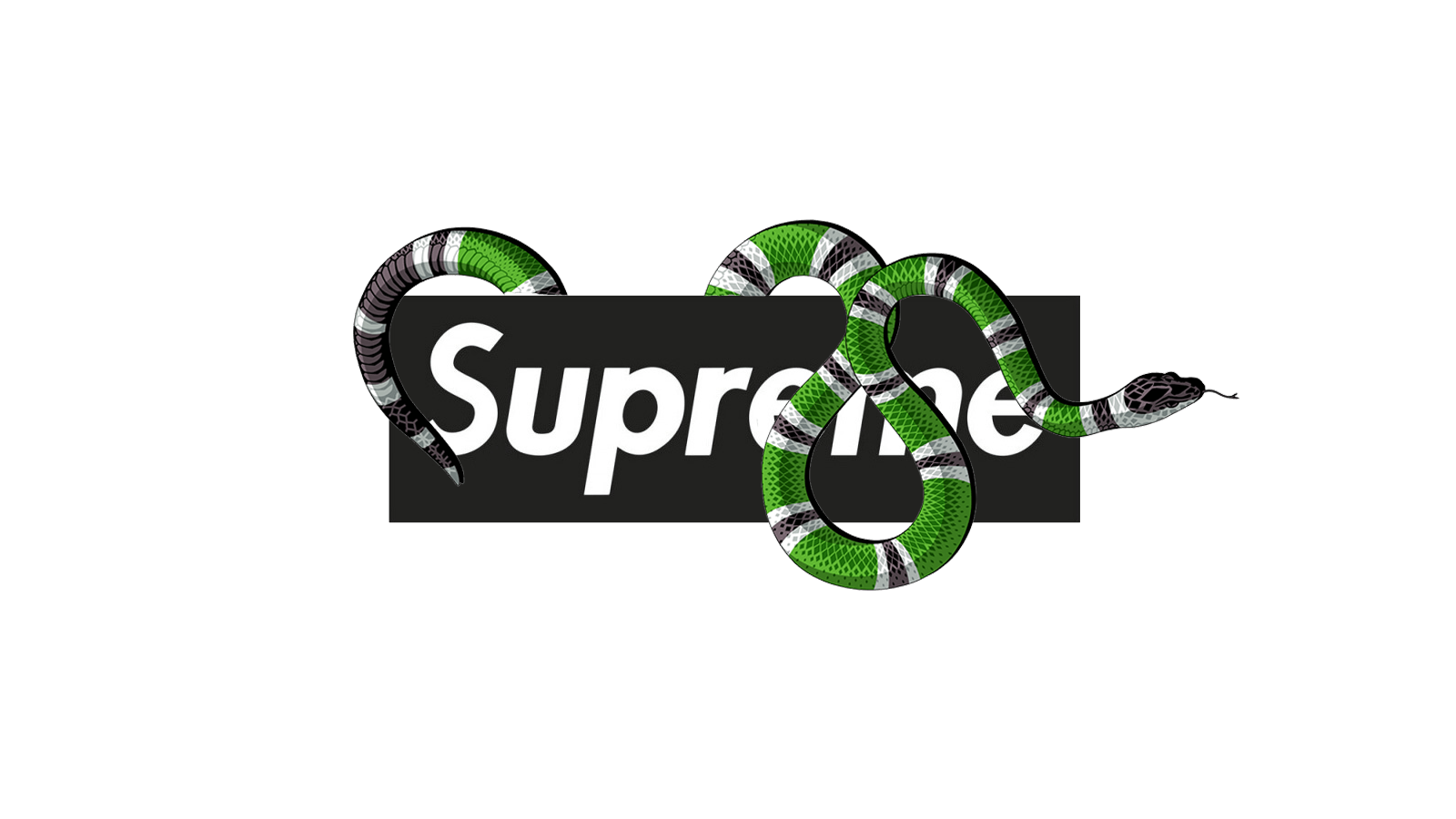 Supreme Snake Logo - Supreme And Gucci Wallpapers - Wallpaper Cave