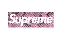 Snke Supreme Box Logo - Supreme snakeskin box Logos
