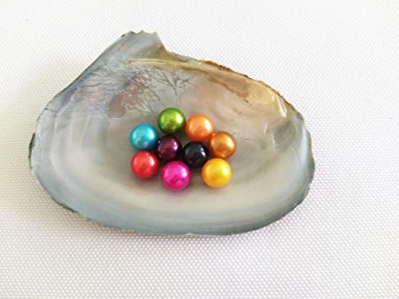 Red Yellow Blue Round Logo - 10pcs 6-7mm AAA Round Cultured Freshwater Pearl Oyster Dyed Dyeing ...