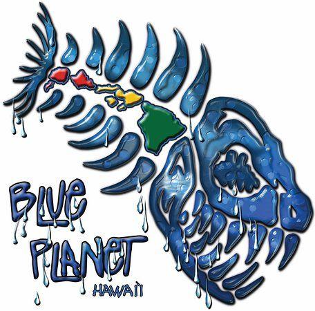 Fish Surf Logo - Wet Fish logo of Blue Planet Surf, Honolulu