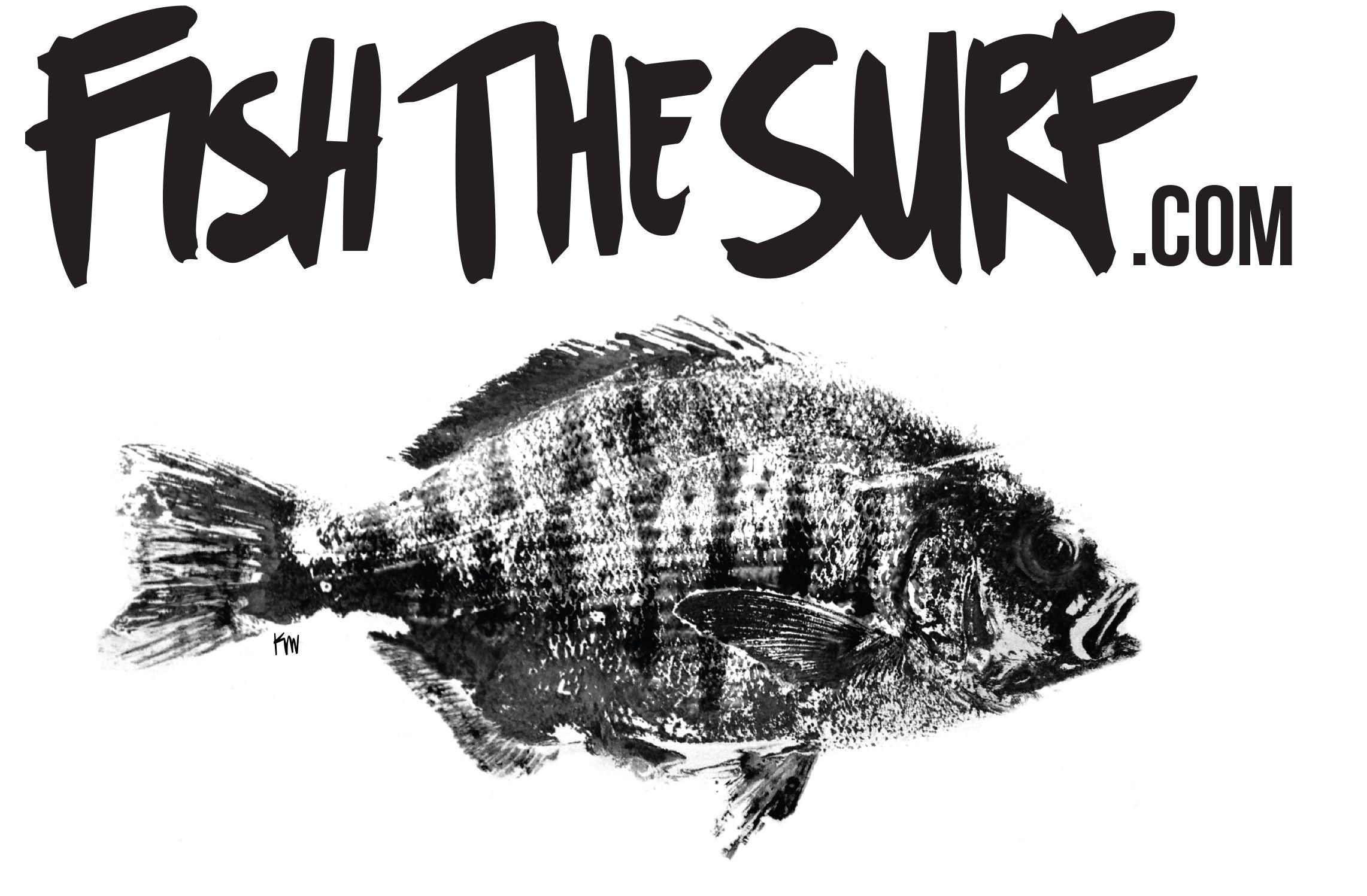 Fish Surf Logo - Fishthesurf.com – California Surf Fishing- A Light Line Revolution ...