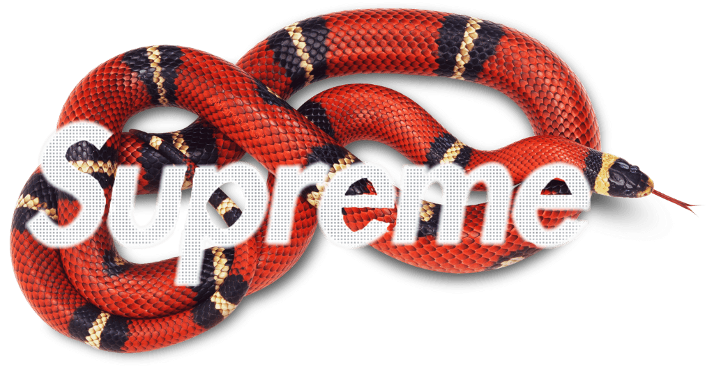 Supreme Snake Logo - supreme gucci snake memezasf - Sticker by SupremeAsf