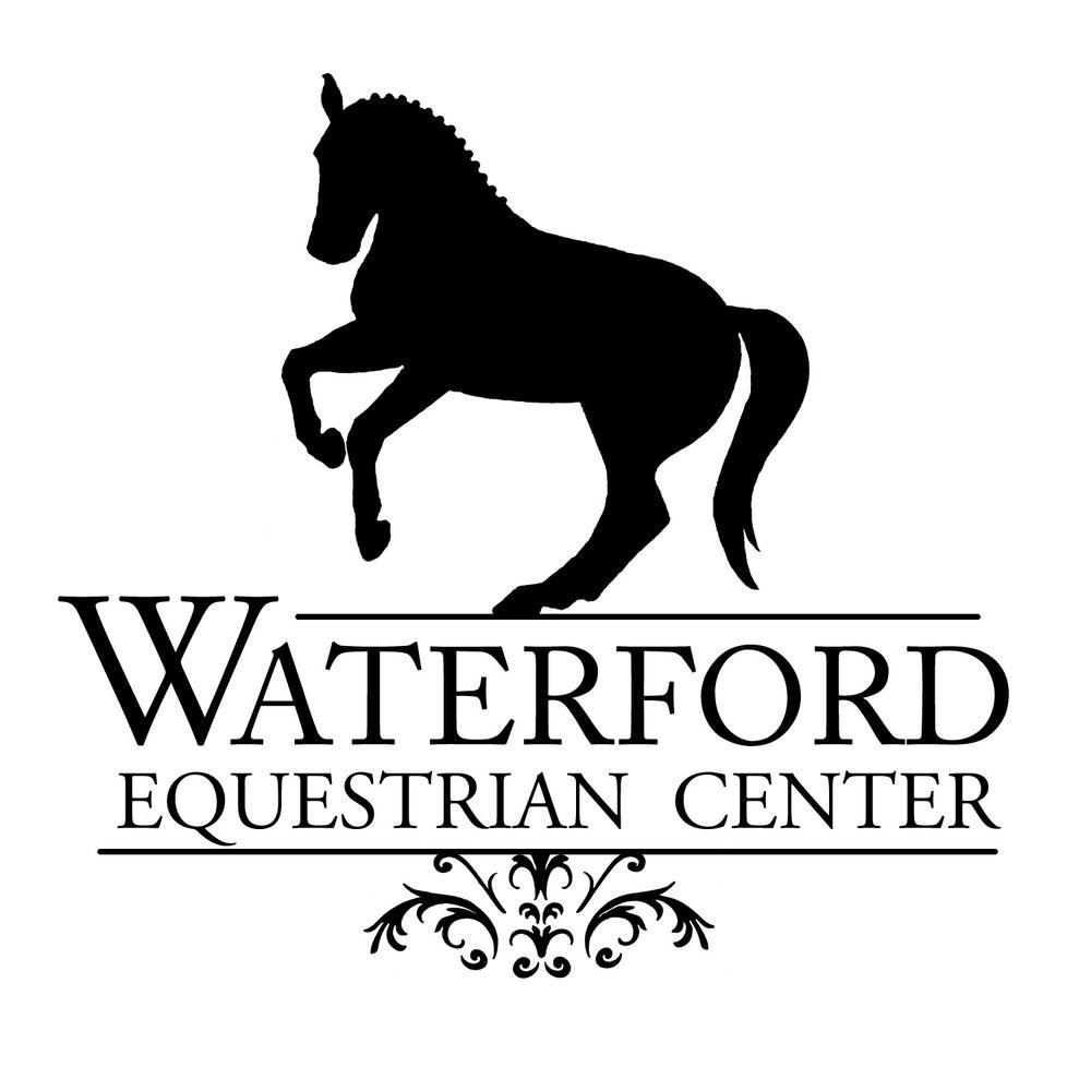 Horse Business Logo - Logo Design