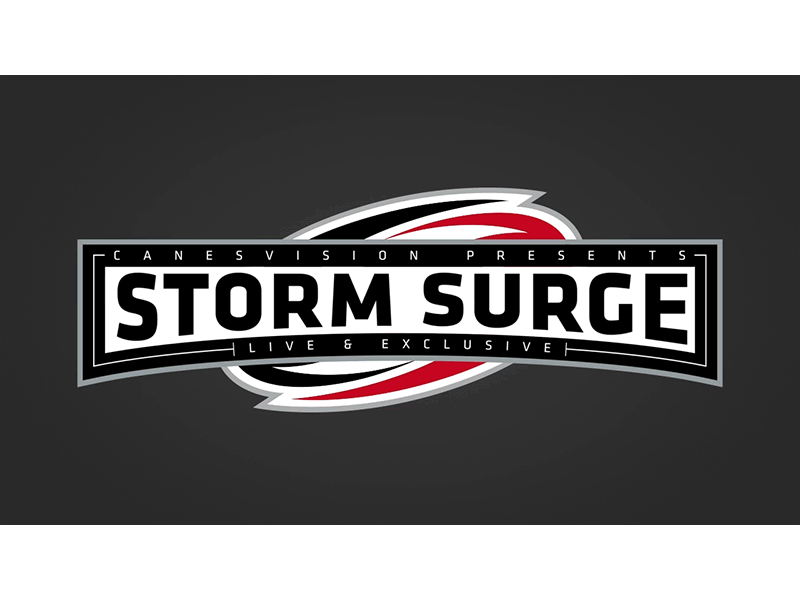 Surge Logo - Storm Surge Logo Animated by Rachel Cole Cannon